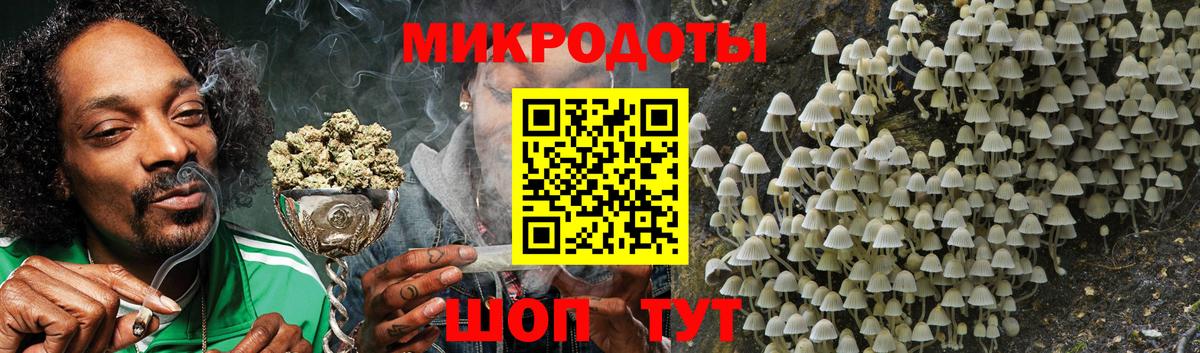 Псилоцибиновые грибы Psilocybe  Вход с VPN  Майкоп  Псилоцибиновые грибы Psilocybe 
