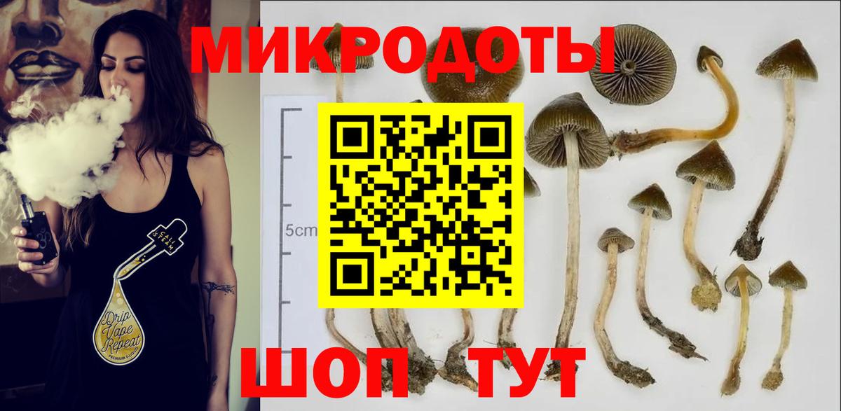 Галлюциногенные грибы мухоморы Майкоп